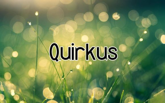 Quirkus: A Bold Statement in Modern Design