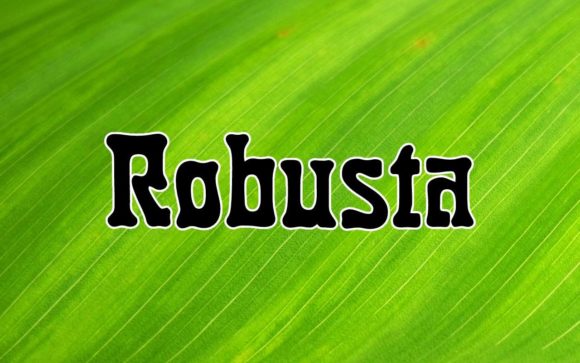Robusta: A Versatile Font for Creative and Professional Use